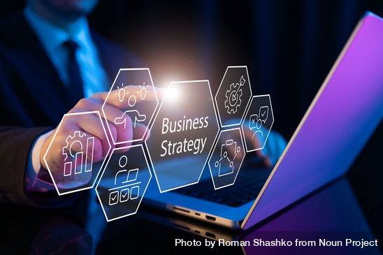 Blufox Technologies professional services - digital operations strategy and consulting